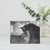 友だちポストカード ポストカード (スタンド正面)