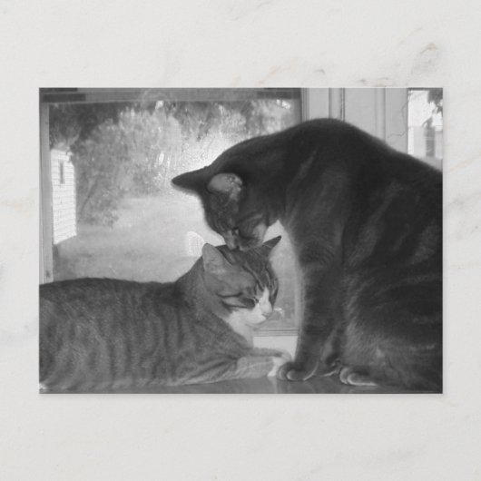 友だちポストカード ポストカード (正面)