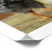 友だち一緒にスティック – 小さな雛を抱き寄せる ポスター (角)