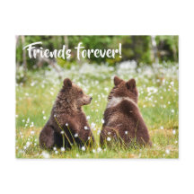 友だち永遠はがき