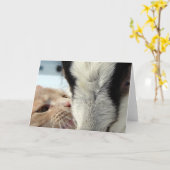 友だち カード (黄色い花)