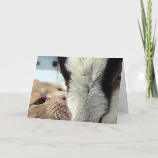 友だち カード (正面)