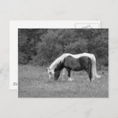 友よ、 ポストカード (正面/裏面)