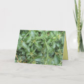 友人ありがとう サンキューカード (裏面)