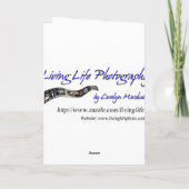 友人がミュージックカードを持ち込む シーズンカード (裏面)