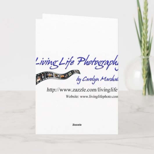 友人がミュージックカードを持ち込む シーズンカード (裏面)