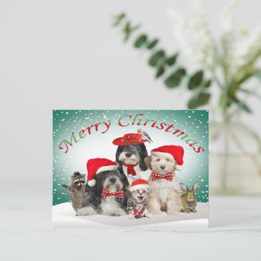 友人とのチベタンテリアのクリスマス シーズンポストカード (スタンド正面)