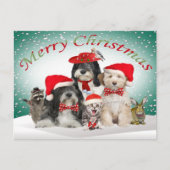 友人とのチベタンテリアのクリスマス シーズンポストカード (正面)