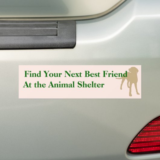 友人のバンパーステッカー5を採用して下さい バンパーステッカー (車上)