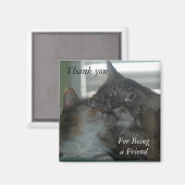 友人のマグネットをありがとう マグネット (正面/裏面)