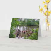 友人のメッセージカードとのLounging カード (黄色い花)