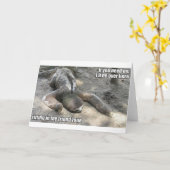 友人の地帯の怠惰 カード (黄色い花)