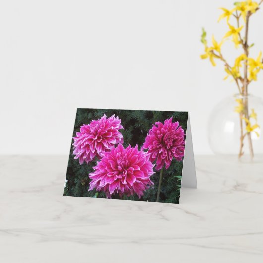 友人の庭のブランクの中のメッセージカードの変化 カード (黄色い花)