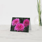 友人の庭のブランクの中のメッセージカードの変化 カード (正面)