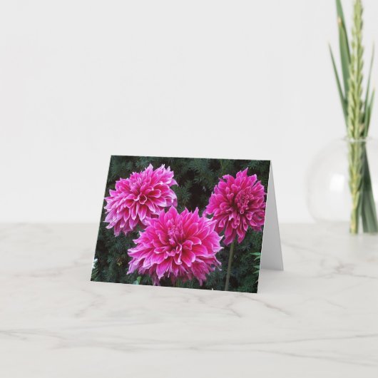 友人の庭のブランクの中のメッセージカードの変化 カード (正面)