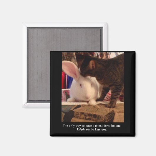 友人の磁石になる マグネット (正面/裏面)