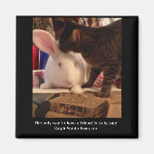 友人の磁石になる マグネット (正面)