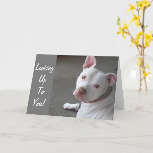 友人の行くところをあがめて カード (黄色い花)