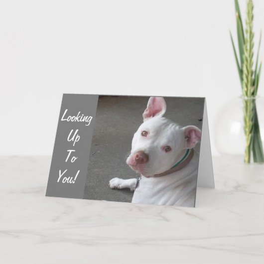 友人の行くところをあがめて カード (正面)