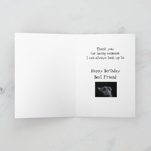 友人の誕生日猫のおもしろい最高のを探す人 カード (内部)
