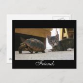 友人の郵便はがき ポストカード (正面/裏面)