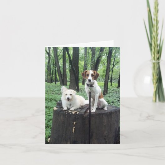 友人は永久に梳きます カード (正面)