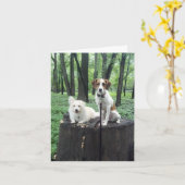 友人は永久に梳きます カード (黄色い花)