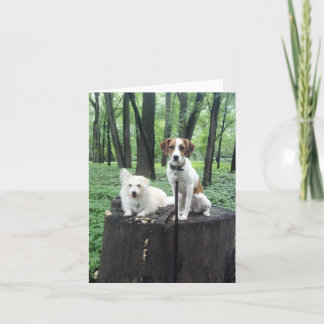 友人は永久に梳きます カード