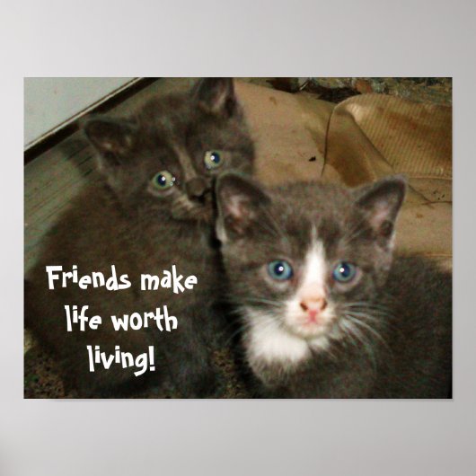 友人は生きる価値のあるポスターを作る ポスター (正面)