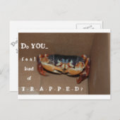 友人を応援するためのおもしろカード... ポストカード (正面/裏面)