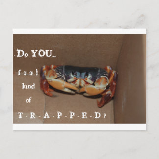 友人を応援するためのおもしろカード... ポストカード