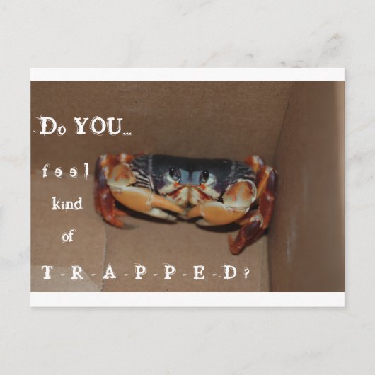 友人を応援するためのおもしろカード... ポストカード (正面)