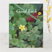 友人向けの福の引き回し – ビッググリーティングカード カード (黄色い花)