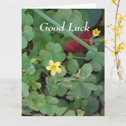 友人向けの福の引き回し – ビッググリーティングカード カード (黄色い花)