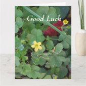 友人向けの福の引き回し – ビッググリーティングカード カード (正面)