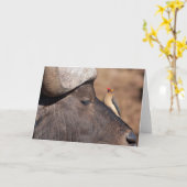 友人: アフリカスイギュウおよびウシのキツツキカード カード (黄色い花)