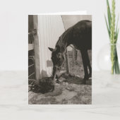 友人 カード (正面)