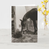 友人 カード (黄色い花)