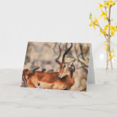 友人 カード (黄色い花)