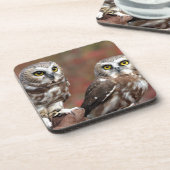 友人 コースター (左側)