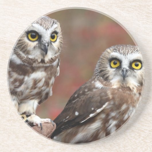 友人 コースター (正面)