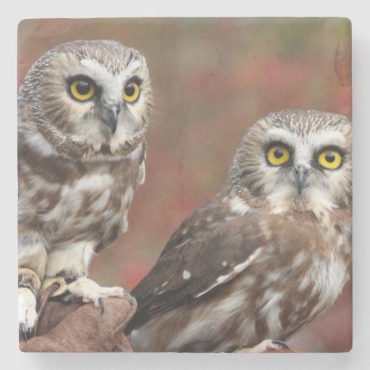 友人 ストーンコースター (正面)