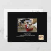 友人 ポストカード (正面/裏面)
