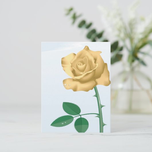 友好バラ ポストカード (スタンド正面)