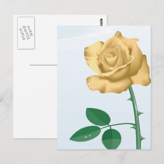 友好バラ ポストカード (正面/裏面)