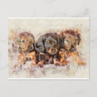 友好関係 ポストカード