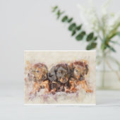 友好関係 ポストカード (スタンド正面)