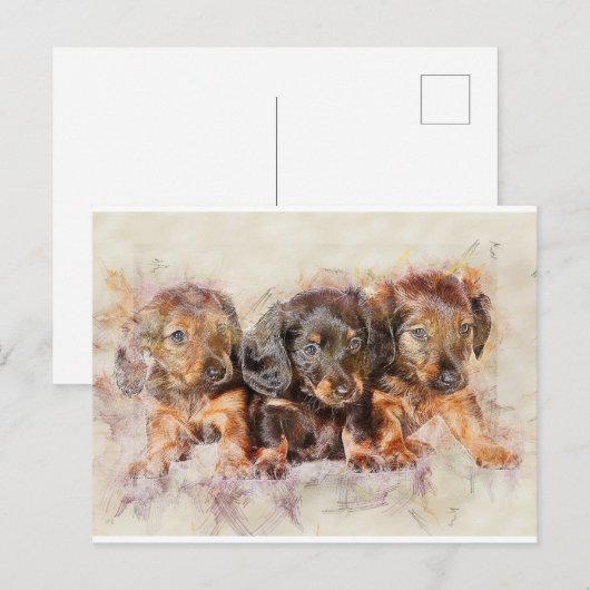 友好関係 ポストカード (正面/裏面)