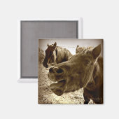 友実在人 マグネット (正面/裏面)