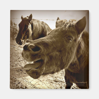 友実在人 マグネット